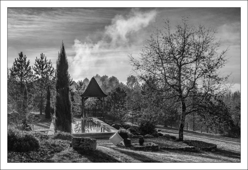 Bed and Breakfast Le Lion D'Or en PERIGORD à Mauzac-et-Grand-Castang Extérieur photo